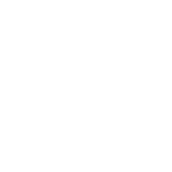 Authentic Cuisine Of India